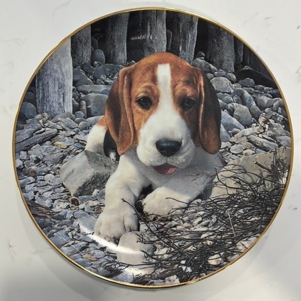 BEAGLES lovers plate by Simon‎ Mendez